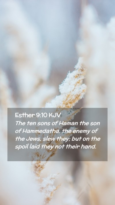 Picture 02 - Esther 9:10 KJV Mobile Phone Wallpaper - The ten sons of Haman the son of Hammedatha, the - Mobile Bible Verse Wallpaper