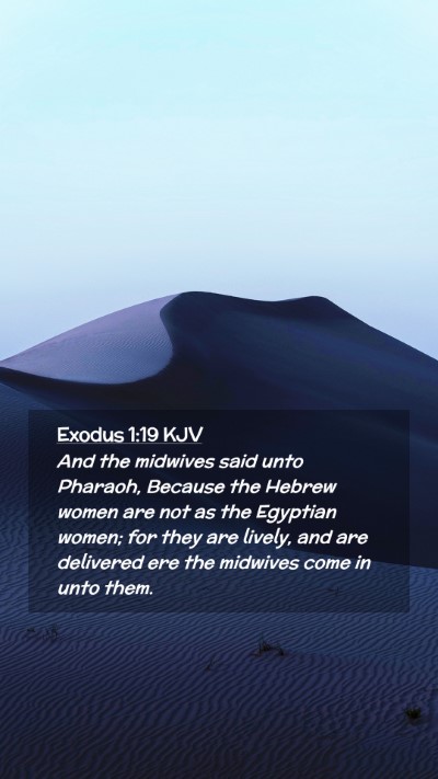 Picture 02 - Exodus 1:19 KJV Mobile Phone Wallpaper - And the midwives said unto Pharaoh, Because the - Mobile Bible Verse Wallpaper