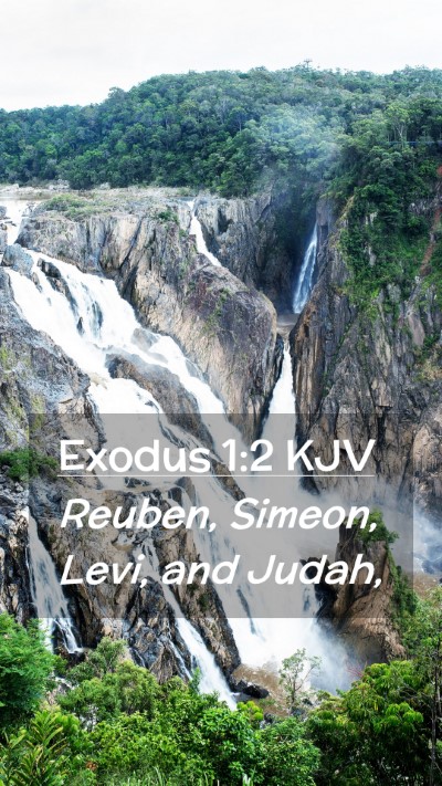 Picture 02 - Exodus 1:2 KJV Mobile Phone Wallpaper - Reuben, Simeon, Levi, and - Mobile Bible Verse Wallpaper