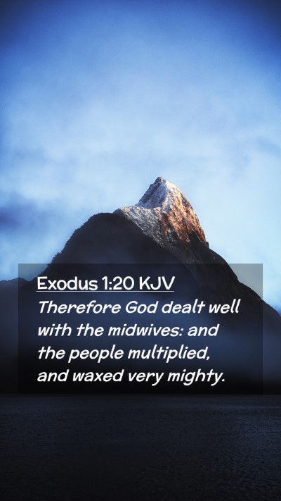 Picture 02 - Exodus 1:20 KJV Mobile Phone Wallpaper - Therefore God dealt well with the midwives: and - Mobile Bible Verse Wallpaper