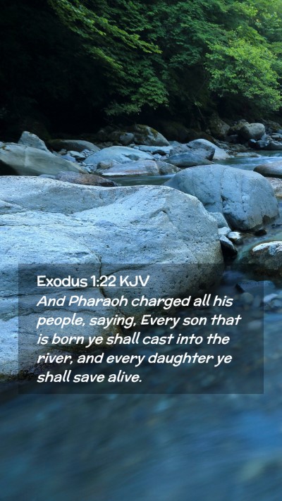 Picture 02 - Exodus 1:22 KJV Mobile Phone Wallpaper - And Pharaoh charged all his people, saying, Every - Mobile Bible Verse Wallpaper