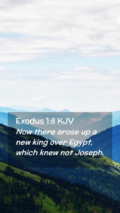Picture 02 - Exodus 1:8 KJV Mobile Phone Wallpaper - Now there arose up a new king over Egypt, which - Mobile Bible Verse Wallpaper