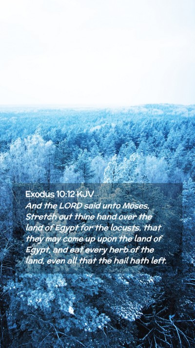 Picture 02 - Exodus 10:12 KJV Mobile Phone Wallpaper - And the LORD said unto Moses, Stretch out thine - Mobile Bible Verse Wallpaper