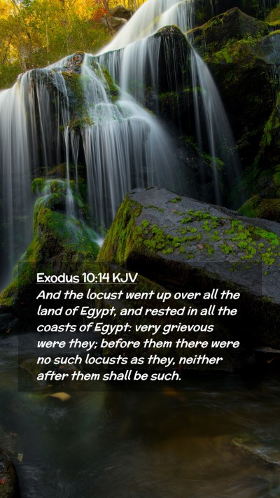 Picture 02 - Exodus 10:14 KJV Mobile Phone Wallpaper - And the locust went up over all the land of - Mobile Bible Verse Wallpaper