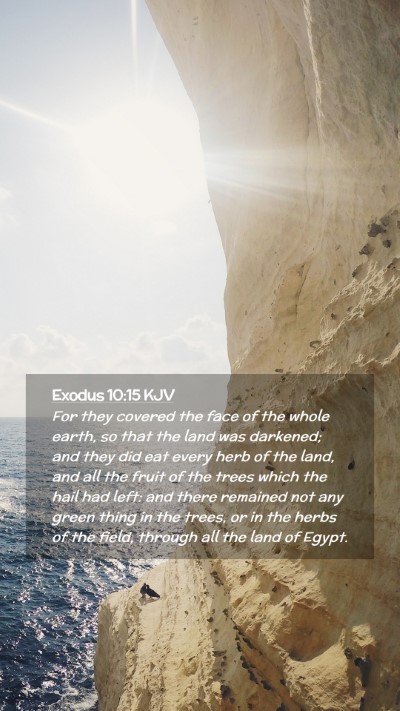 Picture 02 - Exodus 10:15 KJV Mobile Phone Wallpaper - For they covered the face of the whole earth, so - Mobile Bible Verse Wallpaper