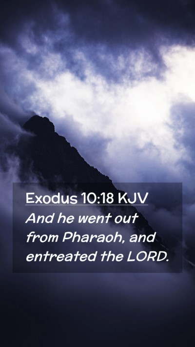 Picture 02 - Exodus 10:18 KJV Mobile Phone Wallpaper - And he went out from Pharaoh, and entreated the - Mobile Bible Verse Wallpaper