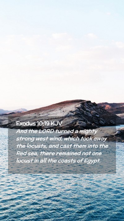Picture 02 - Exodus 10:19 KJV Mobile Phone Wallpaper - And the LORD turned a mighty strong west wind, - Mobile Bible Verse Wallpaper