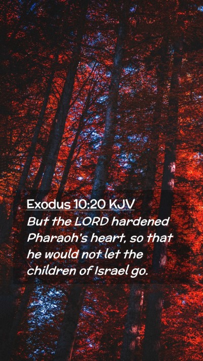 Picture 02 - Exodus 10:20 KJV Mobile Phone Wallpaper - But the LORD hardened Pharaoh's heart, so that he - Mobile Bible Verse Wallpaper