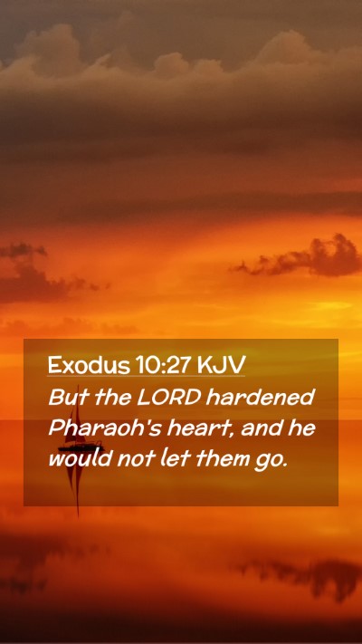 Picture 02 - Exodus 10:27 KJV Mobile Phone Wallpaper - But the LORD hardened Pharaoh's heart, and he - Mobile Bible Verse Wallpaper