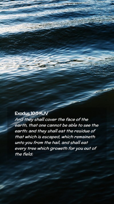 Picture 02 - Exodus 10:5 KJV Mobile Phone Wallpaper - And they shall cover the face of the earth, that - Mobile Bible Verse Wallpaper