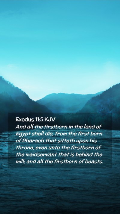 Picture 02 - Exodus 11:5 KJV Mobile Phone Wallpaper - And all the firstborn in the land of Egypt shall - Mobile Bible Verse Wallpaper
