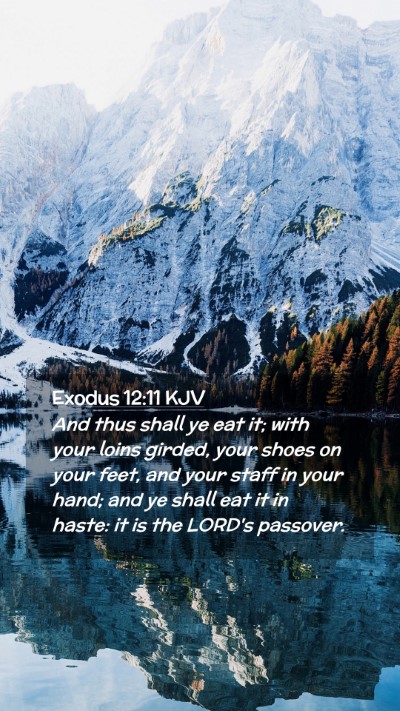 Picture 02 - Exodus 12:11 KJV Mobile Phone Wallpaper - And thus shall ye eat it; with your loins girded, - Mobile Bible Verse Wallpaper