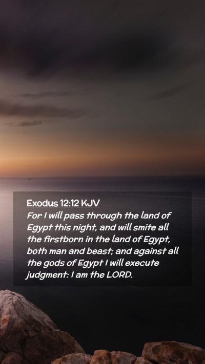 Picture 02 - Exodus 12:12 KJV Mobile Phone Wallpaper - For I will pass through the land of Egypt this - Mobile Bible Verse Wallpaper