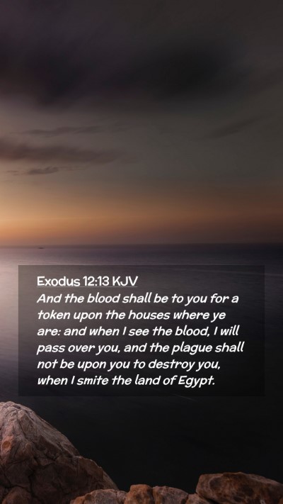 Picture 02 - Exodus 12:13 KJV Mobile Phone Wallpaper - And the blood shall be to you for a token upon - Mobile Bible Verse Wallpaper