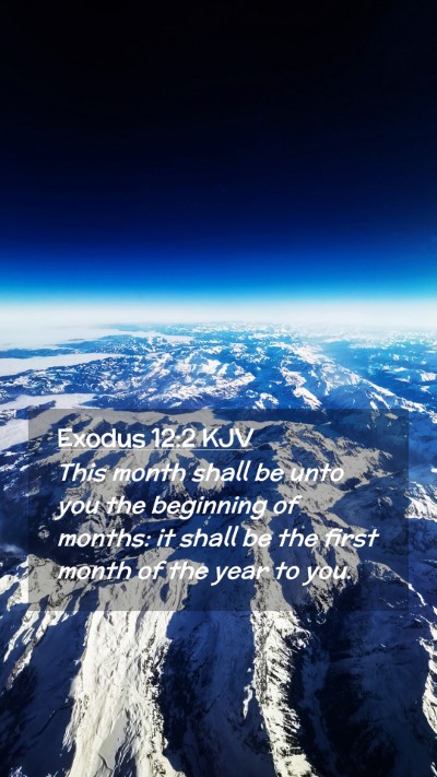 Picture 02 - Exodus 12:2 KJV Mobile Phone Wallpaper - This month shall be unto you the beginning of - Mobile Bible Verse Wallpaper