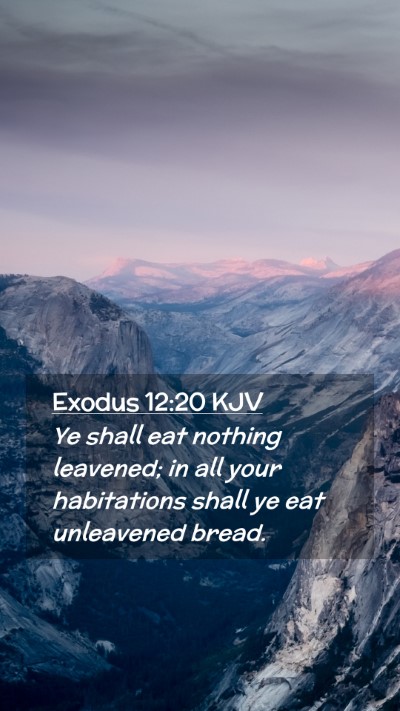 Picture 02 - Exodus 12:20 KJV Mobile Phone Wallpaper - Ye shall eat nothing leavened; in all your - Mobile Bible Verse Wallpaper
