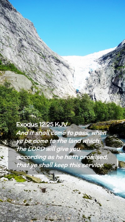 Picture 02 - Exodus 12:25 KJV Mobile Phone Wallpaper - And it shall come to pass, when ye be come to the - Mobile Bible Verse Wallpaper