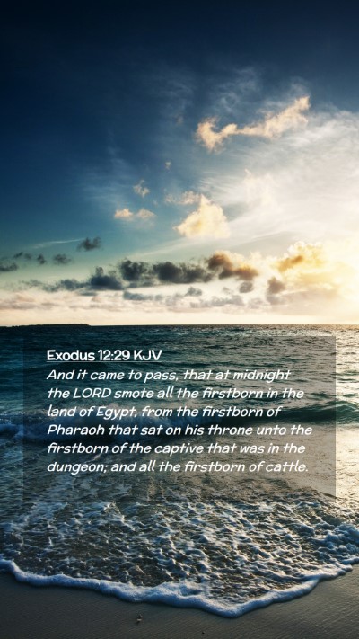 Picture 02 - Exodus 12:29 KJV Mobile Phone Wallpaper - And it came to pass, that at midnight the LORD - Mobile Bible Verse Wallpaper