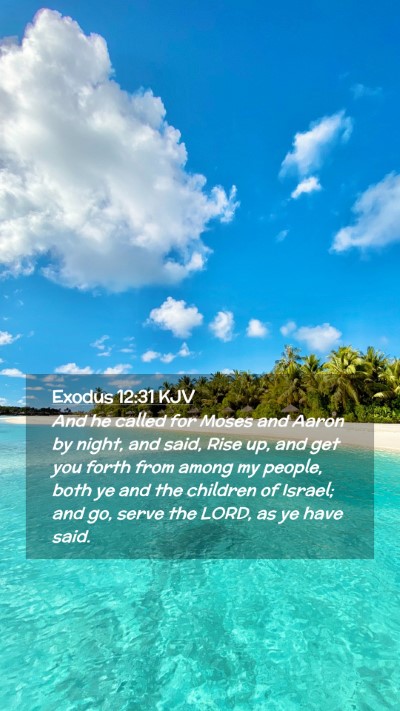 Picture 02 - Exodus 12:31 KJV Mobile Phone Wallpaper - And he called for Moses and Aaron by night, and - Mobile Bible Verse Wallpaper
