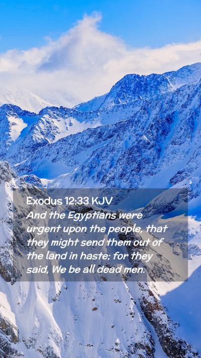 Picture 02 - Exodus 12:33 KJV Mobile Phone Wallpaper - And the Egyptians were urgent upon the people, - Mobile Bible Verse Wallpaper