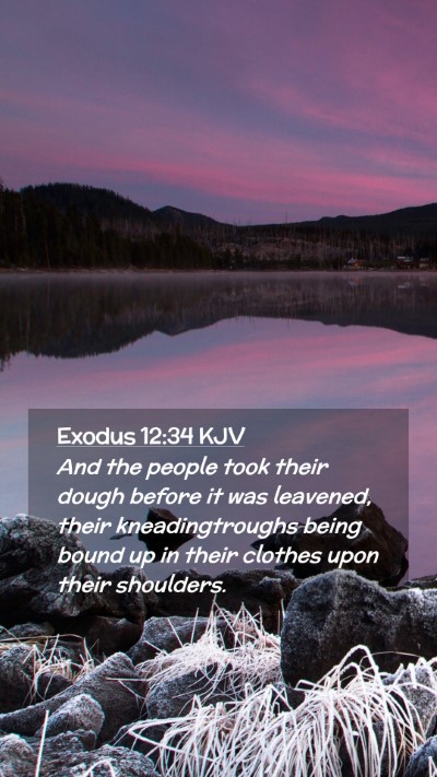 Picture 02 - Exodus 12:34 KJV Mobile Phone Wallpaper - And the people took their dough before it was - Mobile Bible Verse Wallpaper