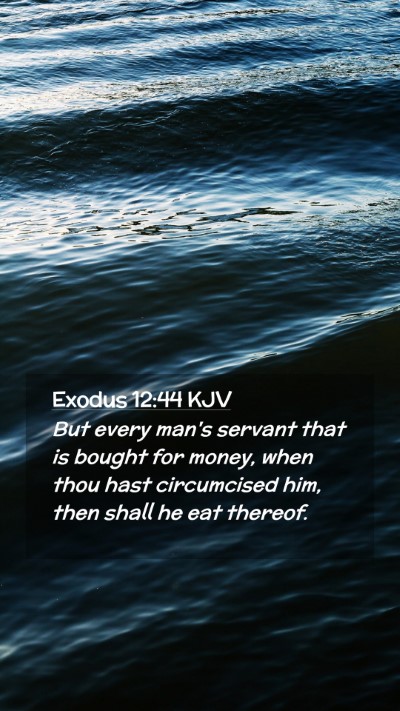 Picture 02 - Exodus 12:44 KJV Mobile Phone Wallpaper - But every man's servant that is bought for money, - Mobile Bible Verse Wallpaper