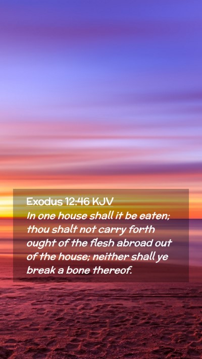 Picture 02 - Exodus 12:46 KJV Mobile Phone Wallpaper - In one house shall it be eaten; thou shalt not - Mobile Bible Verse Wallpaper
