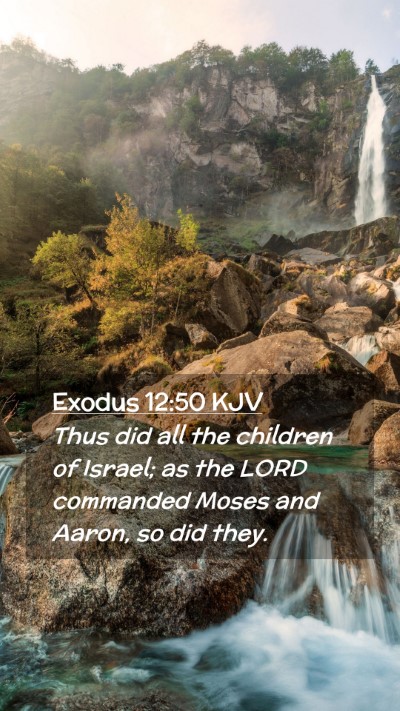 Picture 02 - Exodus 12:50 KJV Mobile Phone Wallpaper - Thus did all the children of Israel; as the LORD - Mobile Bible Verse Wallpaper