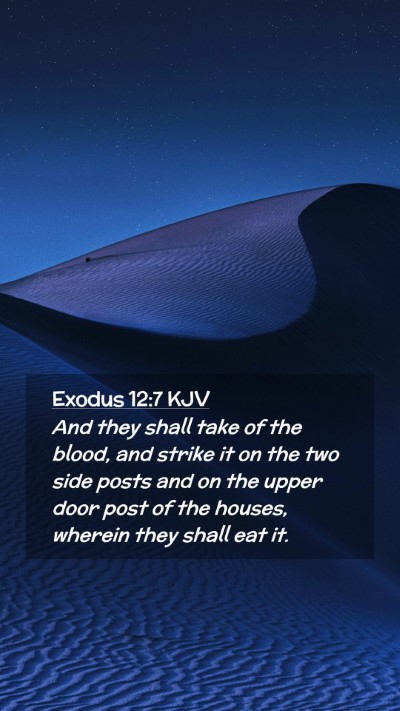 Picture 02 - Exodus 12:7 KJV Mobile Phone Wallpaper - And they shall take of the blood, and strike it - Mobile Bible Verse Wallpaper
