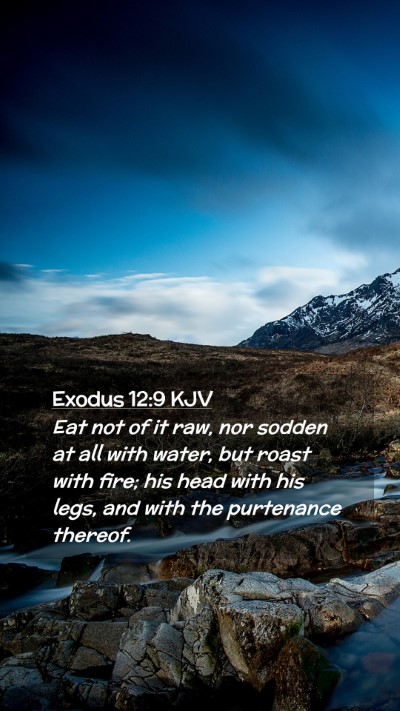 Picture 02 - Exodus 12:9 KJV Mobile Phone Wallpaper - Eat not of it raw, nor sodden at all with water, - Mobile Bible Verse Wallpaper