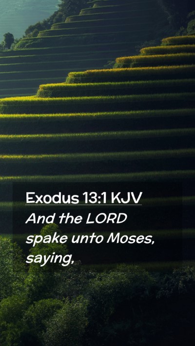 Picture 02 - Exodus 13:1 KJV Mobile Phone Wallpaper - And the LORD spake unto Moses, - Mobile Bible Verse Wallpaper