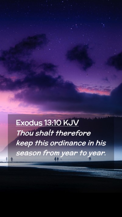 Picture 02 - Exodus 13:10 KJV Mobile Phone Wallpaper - Thou shalt therefore keep this ordinance in his - Mobile Bible Verse Wallpaper