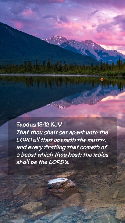 Picture 02 - Exodus 13:12 KJV Mobile Phone Wallpaper - That thou shalt set apart unto the LORD all that - Mobile Bible Verse Wallpaper