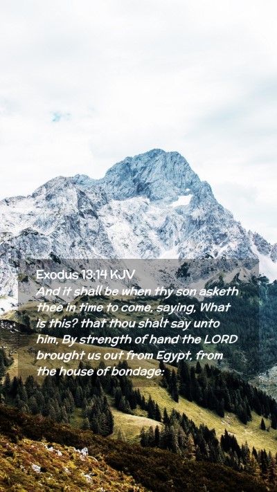Picture 02 - Exodus 13:14 KJV Mobile Phone Wallpaper - And it shall be when thy son asketh thee in time - Mobile Bible Verse Wallpaper