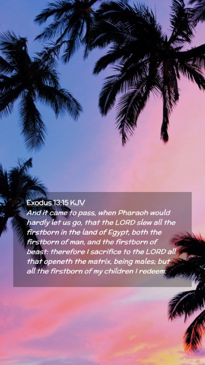 Picture 02 - Exodus 13:15 KJV Mobile Phone Wallpaper - And it came to pass, when Pharaoh would hardly - Mobile Bible Verse Wallpaper