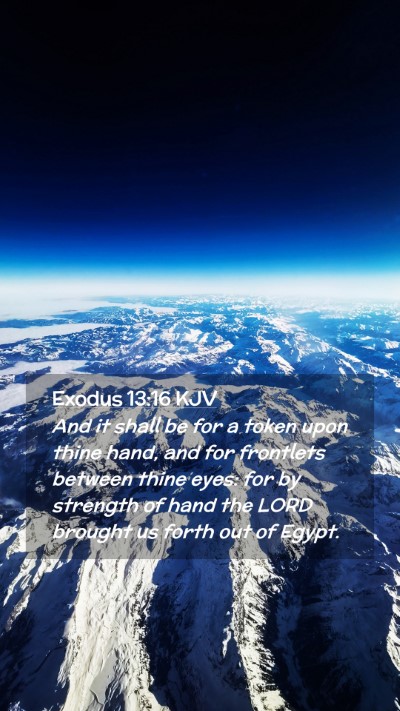Picture 02 - Exodus 13:16 KJV Mobile Phone Wallpaper - And it shall be for a token upon thine hand, and - Mobile Bible Verse Wallpaper