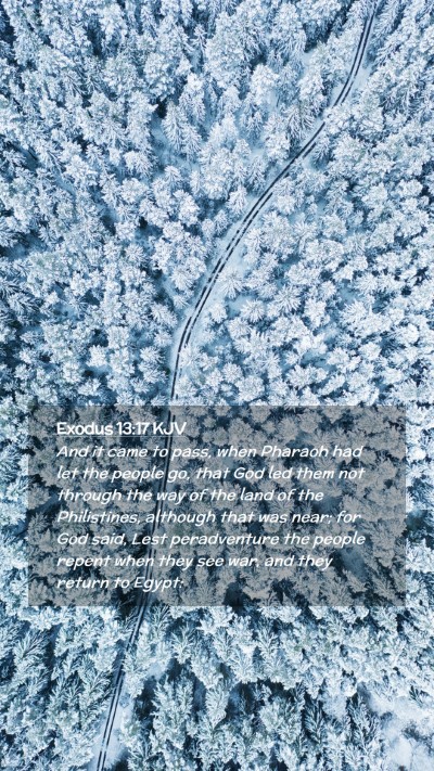 Picture 02 - Exodus 13:17 KJV Mobile Phone Wallpaper - And it came to pass, when Pharaoh had let the - Mobile Bible Verse Wallpaper