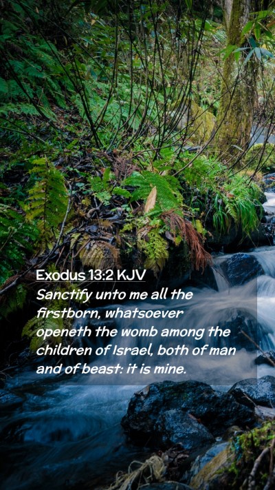 Picture 02 - Exodus 13:2 KJV Mobile Phone Wallpaper - Sanctify unto me all the firstborn, whatsoever - Mobile Bible Verse Wallpaper