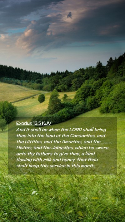 Picture 02 - Exodus 13:5 KJV Mobile Phone Wallpaper - And it shall be when the LORD shall bring thee - Mobile Bible Verse Wallpaper