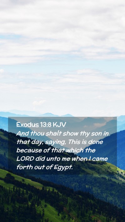 Picture 02 - Exodus 13:8 KJV Mobile Phone Wallpaper - And thou shalt show thy son in that day, saying, - Mobile Bible Verse Wallpaper