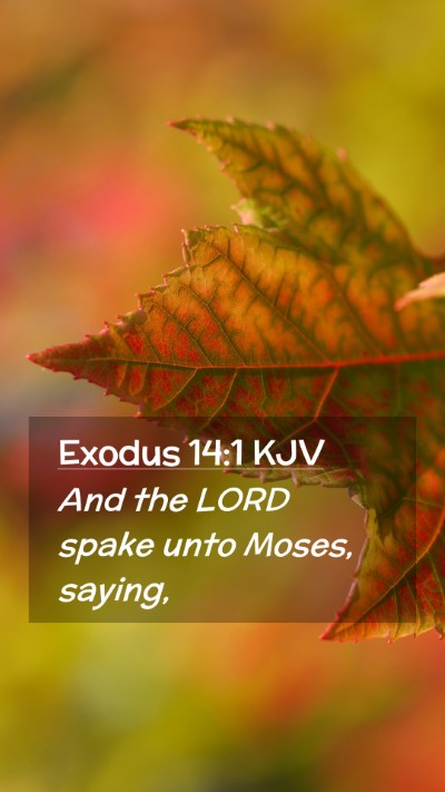 Picture 02 - Exodus 14:1 KJV Mobile Phone Wallpaper - And the LORD spake unto Moses, - Mobile Bible Verse Wallpaper
