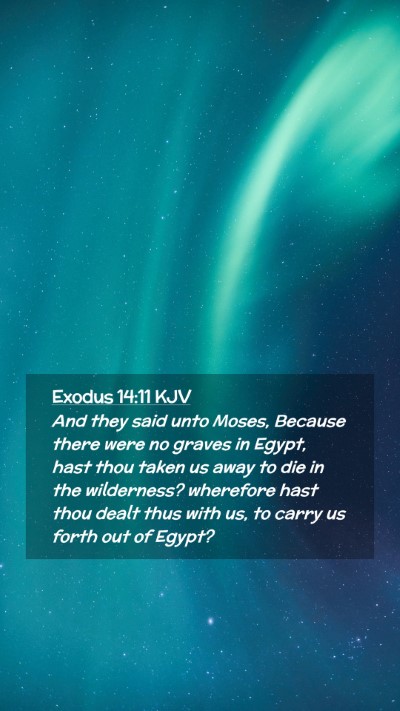 Picture 02 - Exodus 14:11 KJV Mobile Phone Wallpaper - And they said unto Moses, Because there were no - Mobile Bible Verse Wallpaper