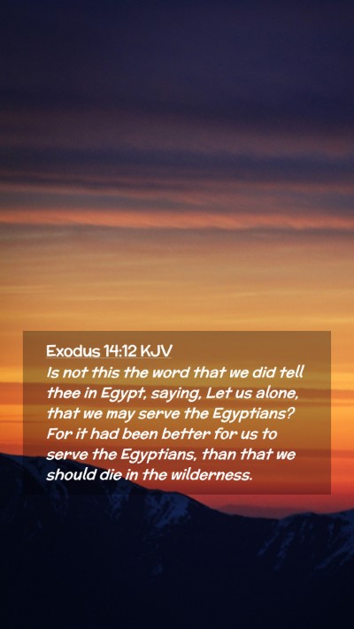 Picture 02 - Exodus 14:12 KJV Mobile Phone Wallpaper - Is not this the word that we did tell thee in - Mobile Bible Verse Wallpaper