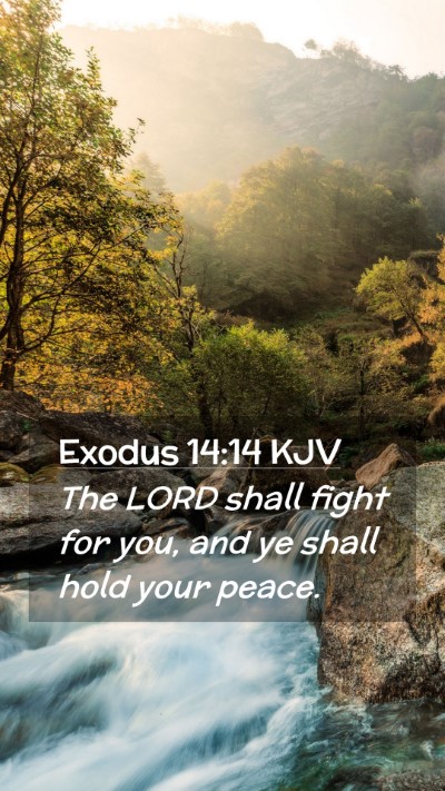 Picture 02 - Exodus 14:14 KJV Mobile Phone Wallpaper - The LORD shall fight for you, and ye shall hold - Mobile Bible Verse Wallpaper