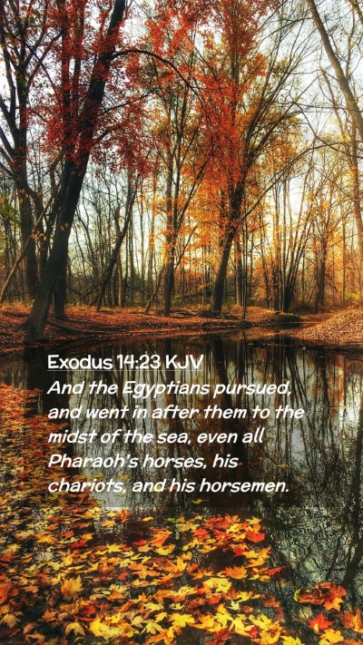 Picture 02 - Exodus 14:23 KJV Mobile Phone Wallpaper - And the Egyptians pursued, and went in after them - Mobile Bible Verse Wallpaper