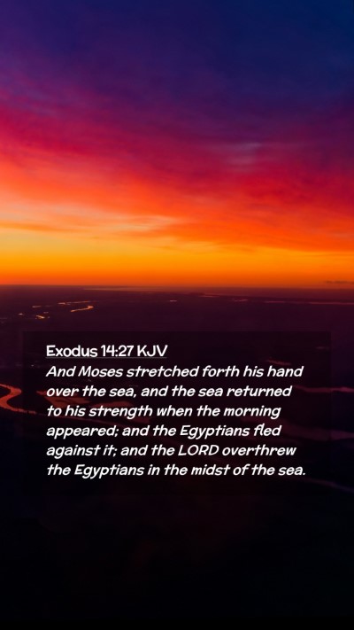 Picture 02 - Exodus 14:27 KJV Mobile Phone Wallpaper - And Moses stretched forth his hand over the sea, - Mobile Bible Verse Wallpaper
