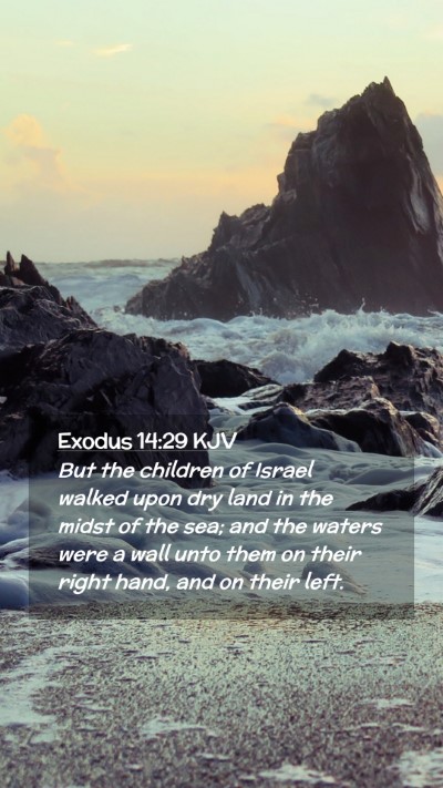 Picture 02 - Exodus 14:29 KJV Mobile Phone Wallpaper - But the children of Israel walked upon dry land - Mobile Bible Verse Wallpaper
