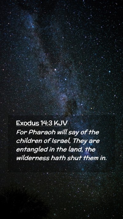 Picture 02 - Exodus 14:3 KJV Mobile Phone Wallpaper - For Pharaoh will say of the children of Israel, - Mobile Bible Verse Wallpaper