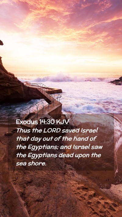Picture 02 - Exodus 14:30 KJV Mobile Phone Wallpaper - Thus the LORD saved Israel that day out of the - Mobile Bible Verse Wallpaper