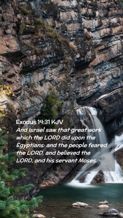 Picture 02 - Exodus 14:31 KJV Mobile Phone Wallpaper - And Israel saw that great work which the LORD did - Mobile Bible Verse Wallpaper